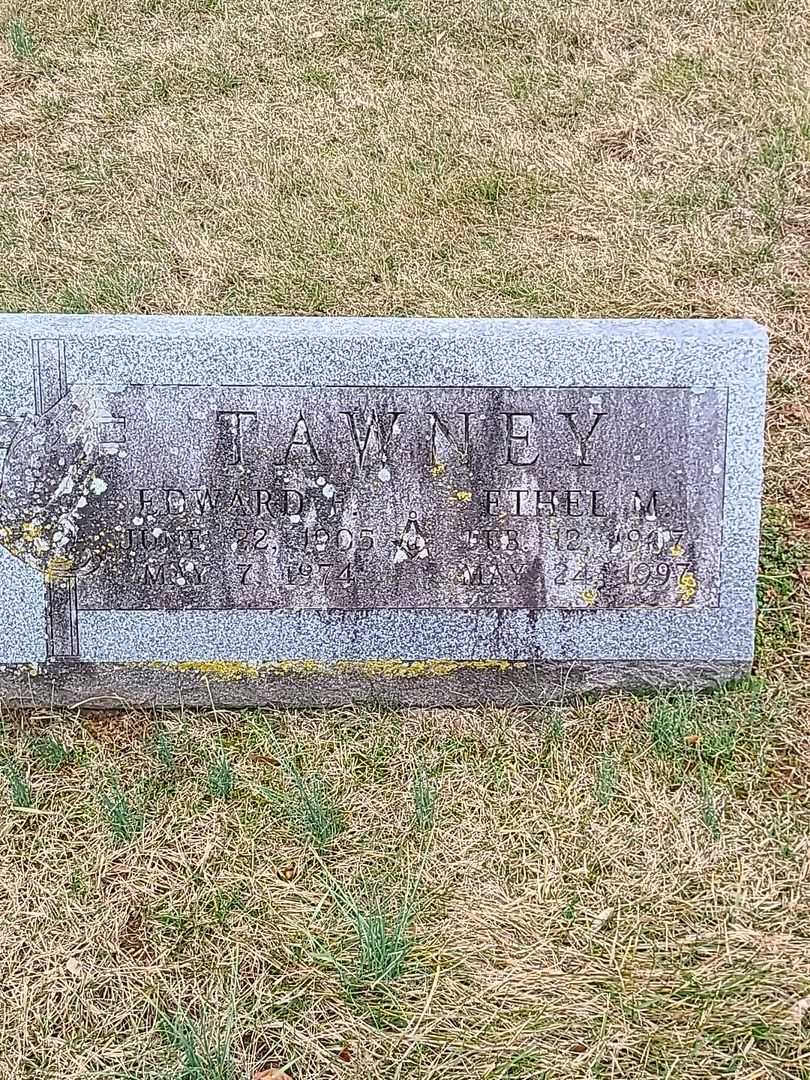 Ethel M. Tawney's grave. Photo 1