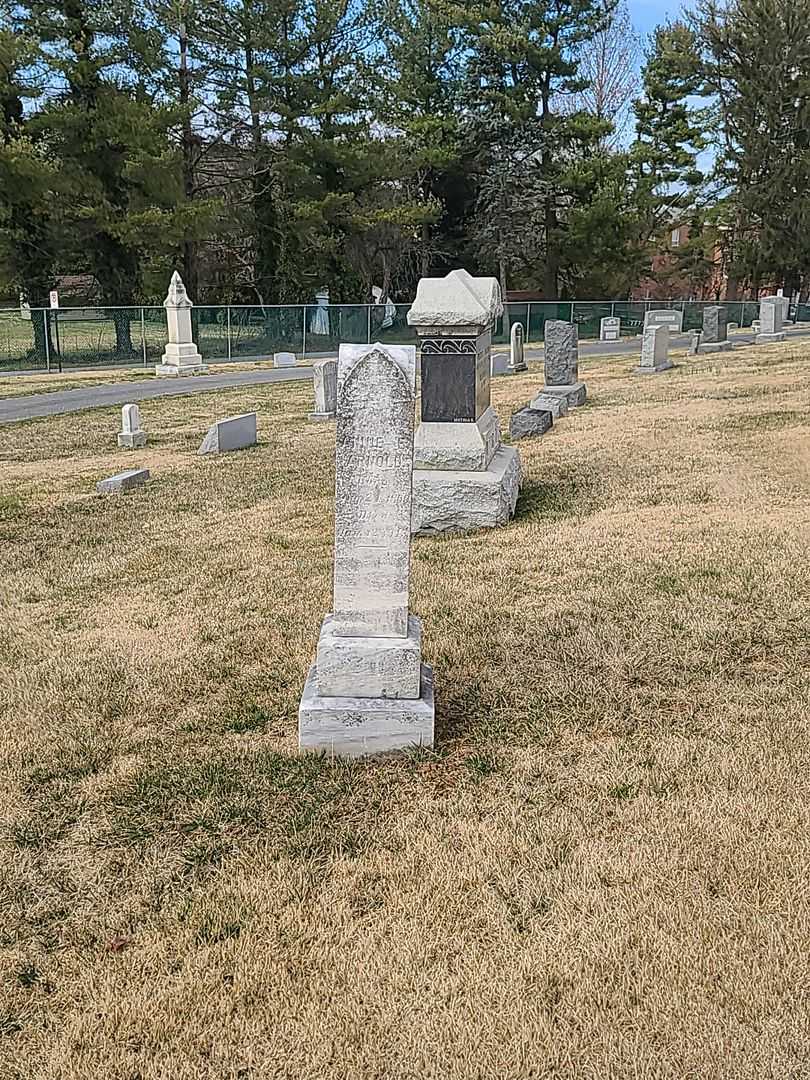 Annie Arnold's grave. Photo 2
