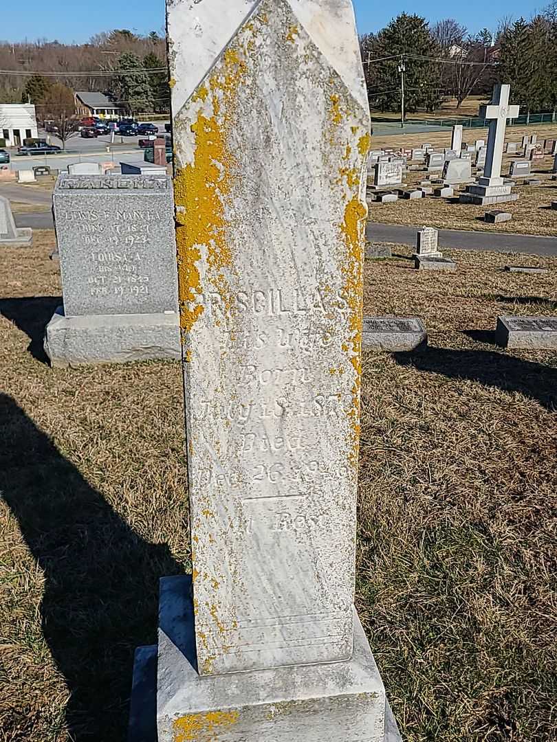 Priscilla S. Moser's grave. Photo 3