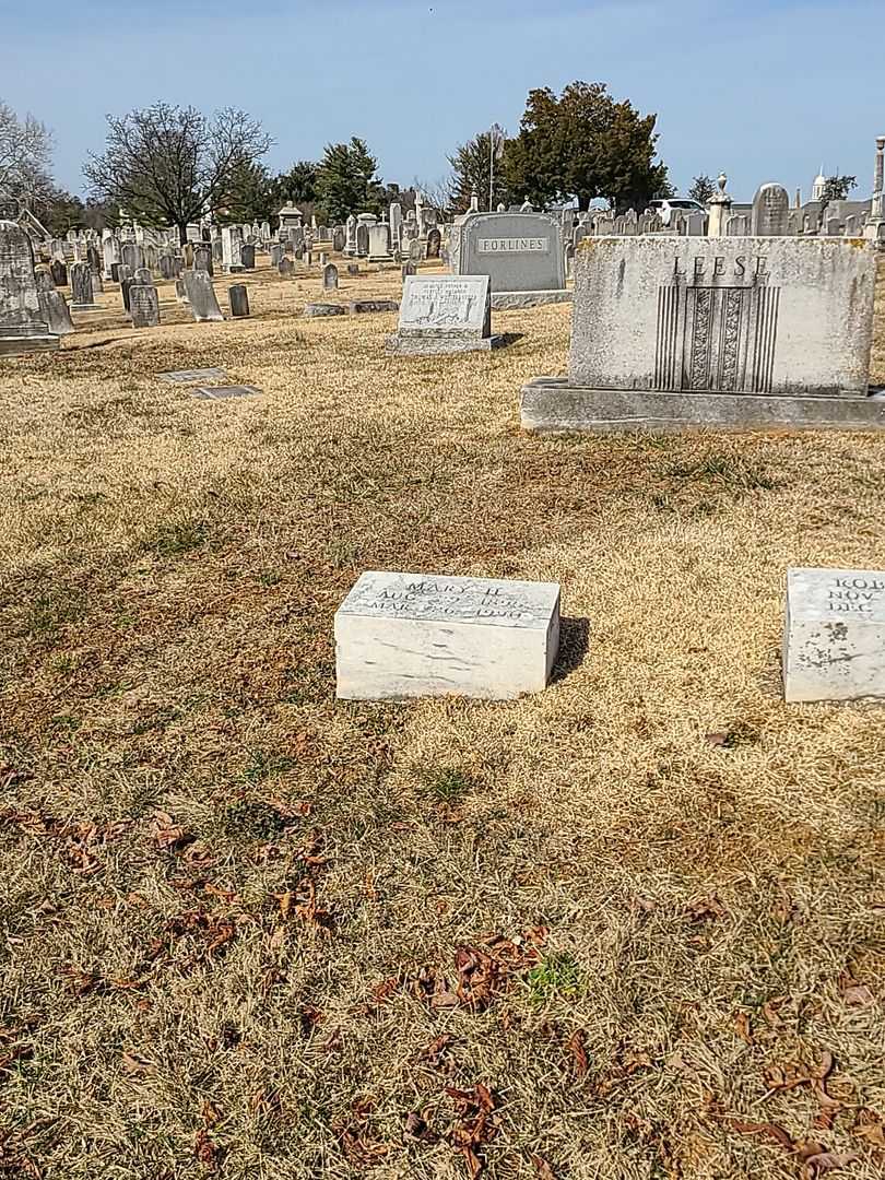 Mary H. Leese's grave. Photo 2