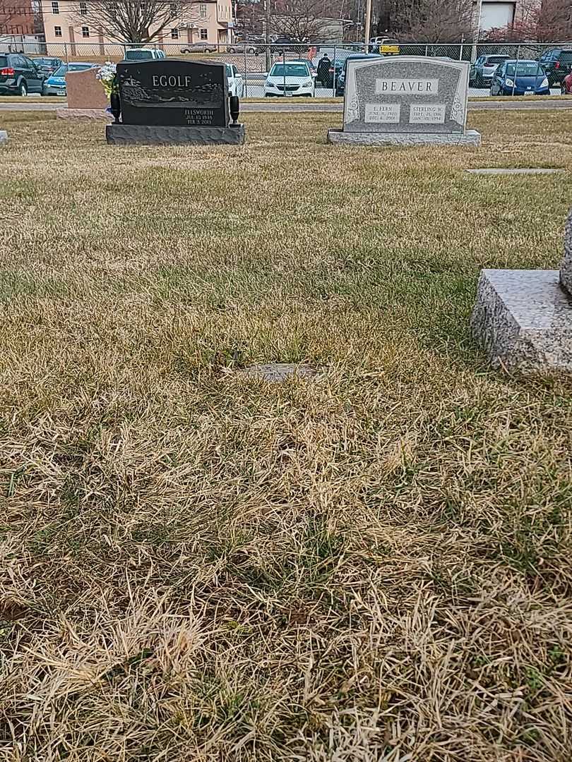 Carl Marvalus Egolf's grave. Photo 2