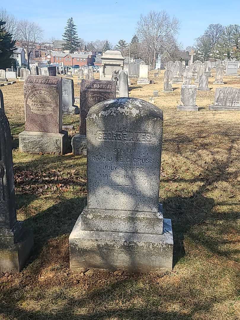 George Ames Cross's grave. Photo 2