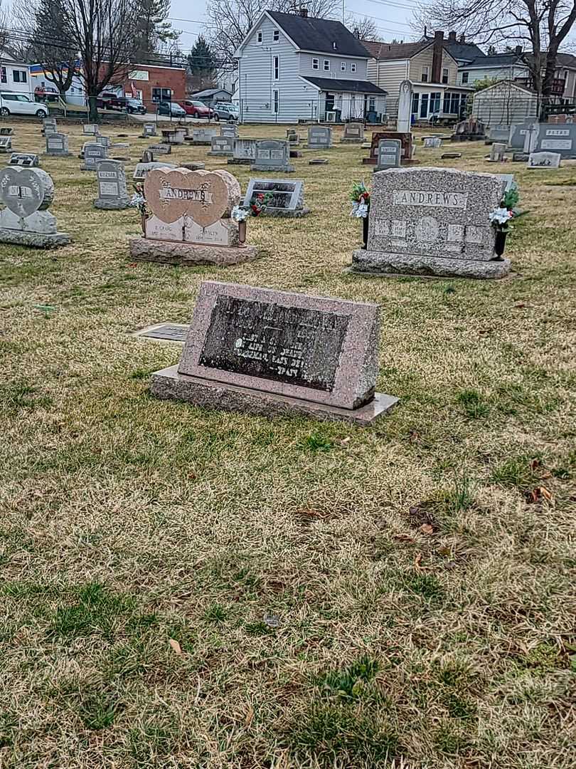 Doctor of Philosophy Robert West Lawler's grave. Photo 2