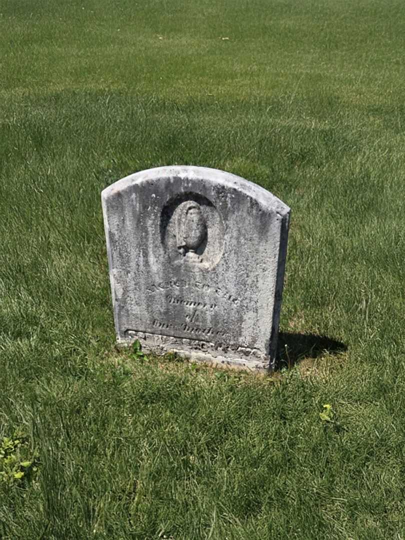 Sophia Shockney's grave. Photo 3