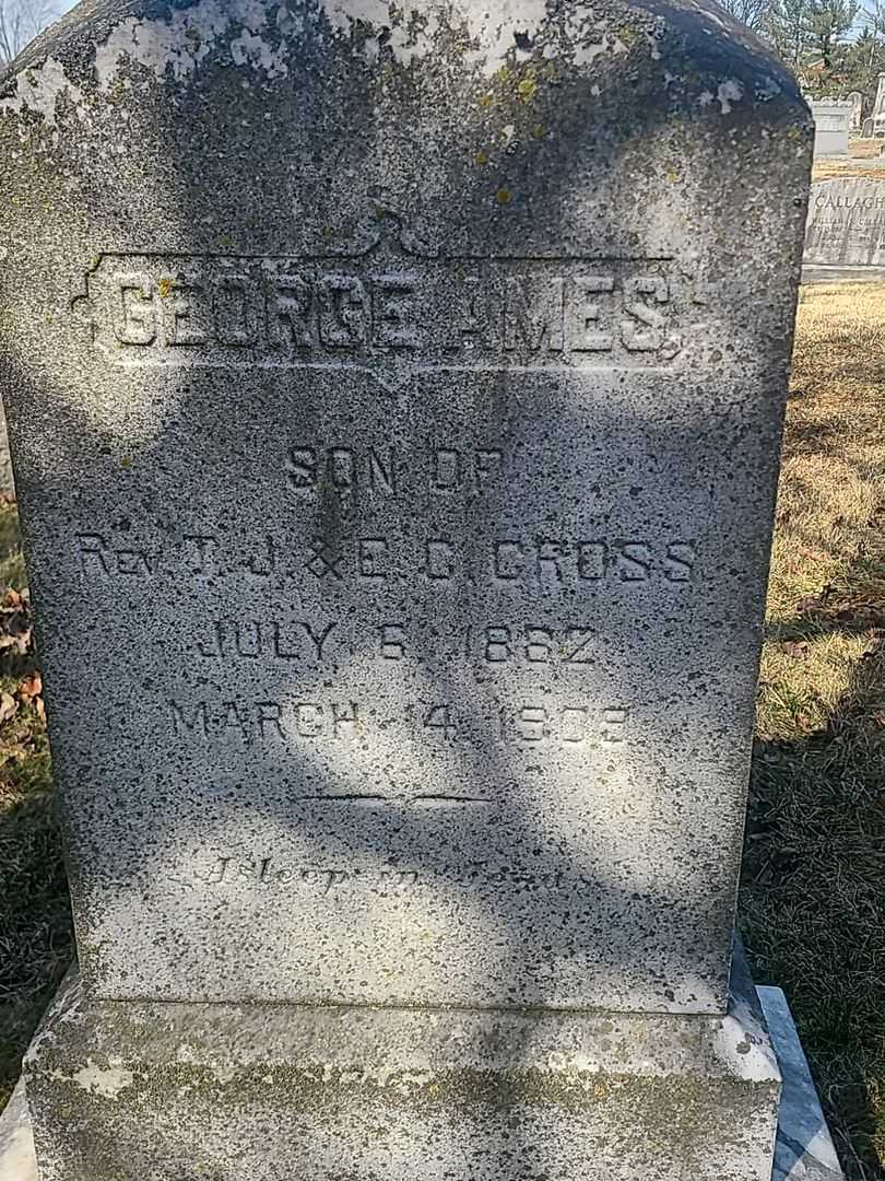 George Ames Cross's grave. Photo 3