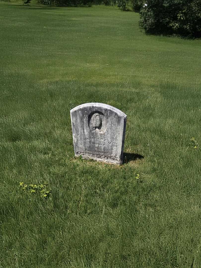 Sophia Shockney's grave. Photo 2