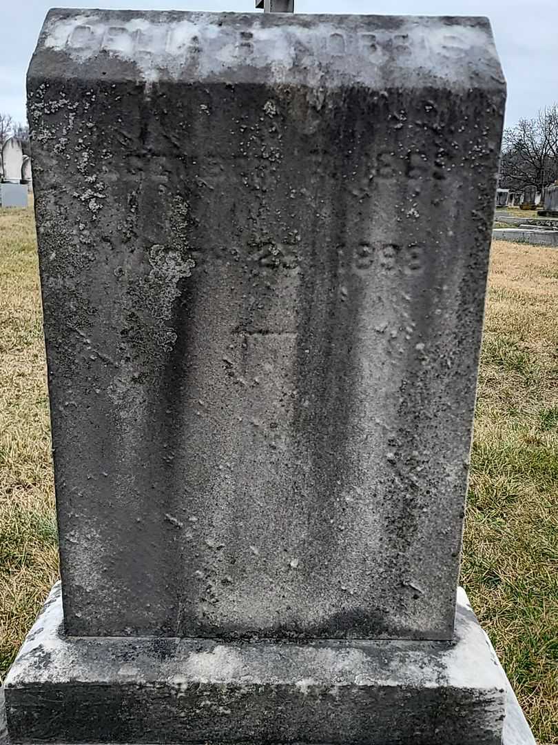 Celia R. Norris's grave. Photo 3