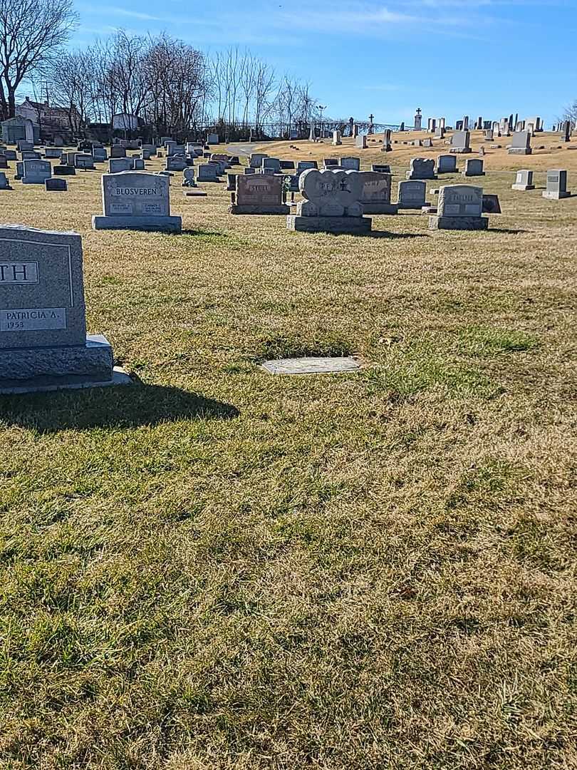 Andrew "Poppy" Dailey Junior's grave. Photo 2