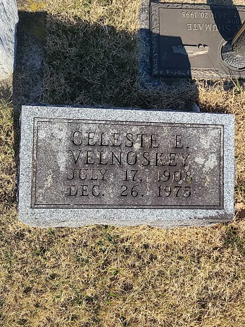 Celeste E. Velnoskey's grave. Photo 3