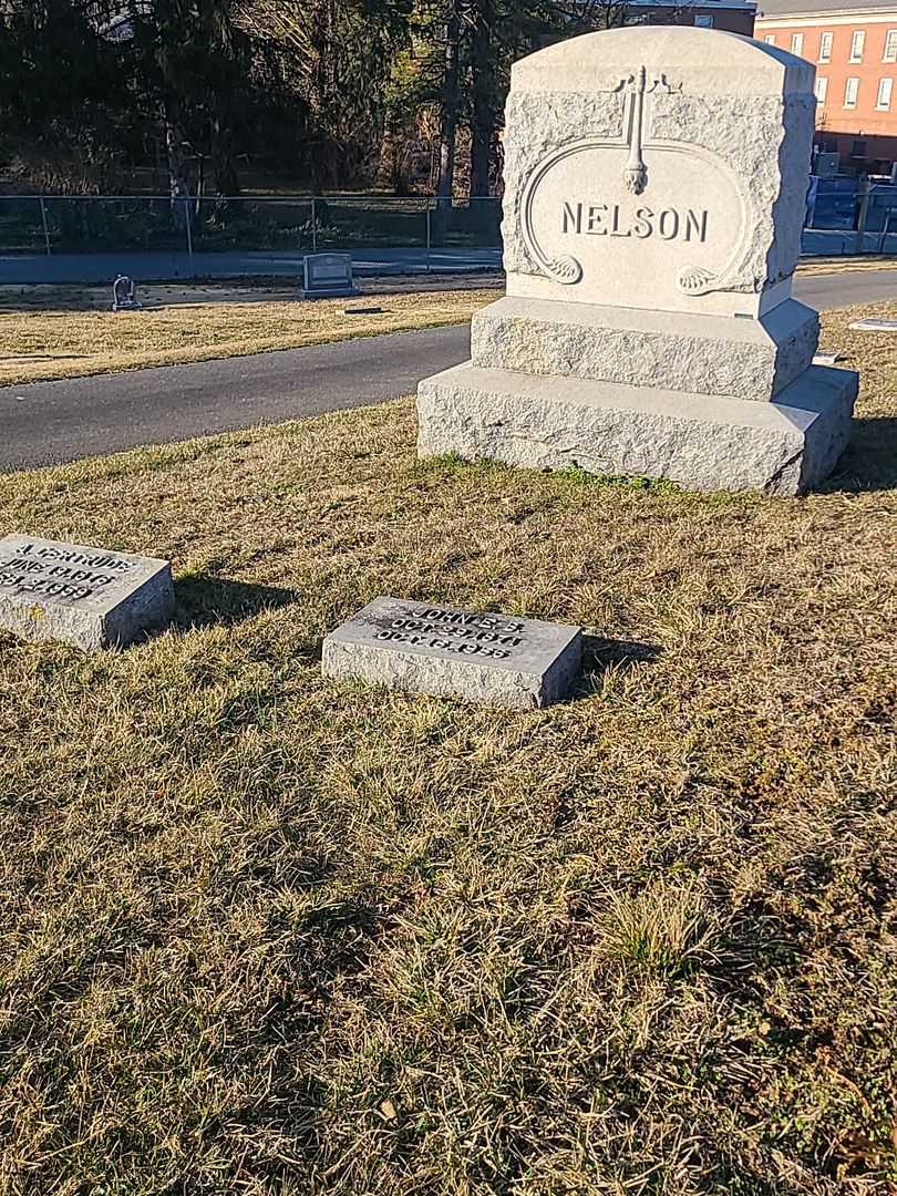 John E. B. Nelson's grave. Photo 2