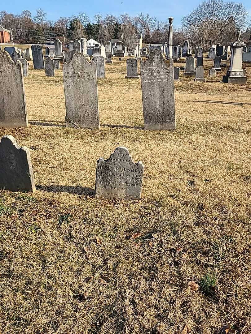 Hester Arnold's grave. Photo 2