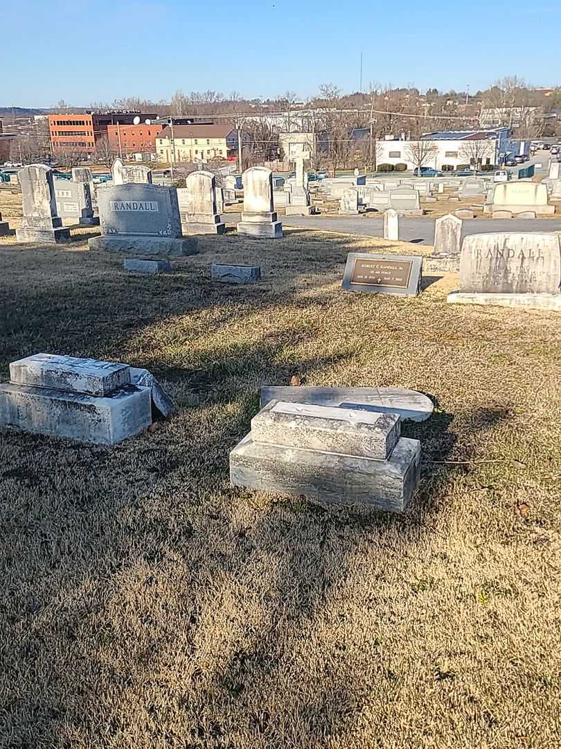 Vila A. Albaugh's grave. Photo 1