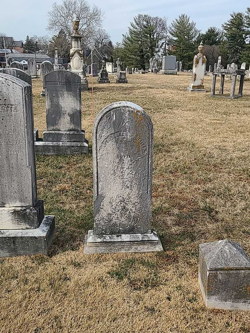 George Washington Shriver's grave. Photo 1