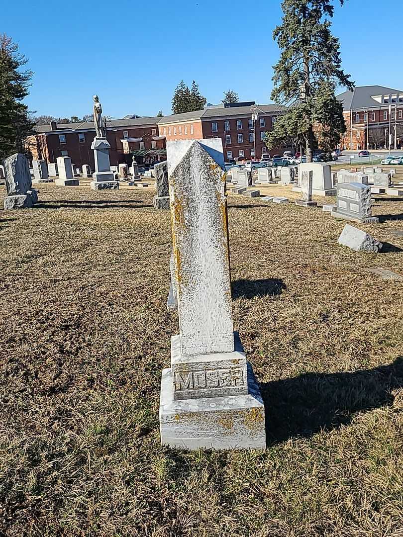 Arthur R. Moser's grave. Photo 1