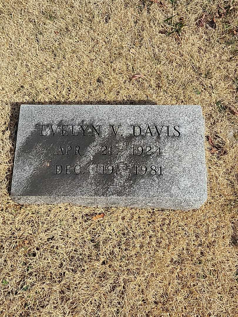 Evelyn V. Davis's grave. Photo 3