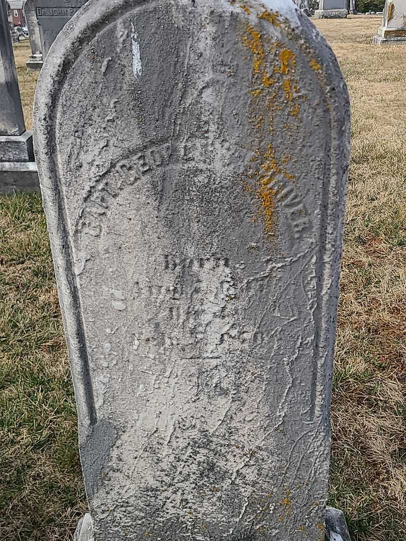 George Washington Shriver's grave. Photo 2