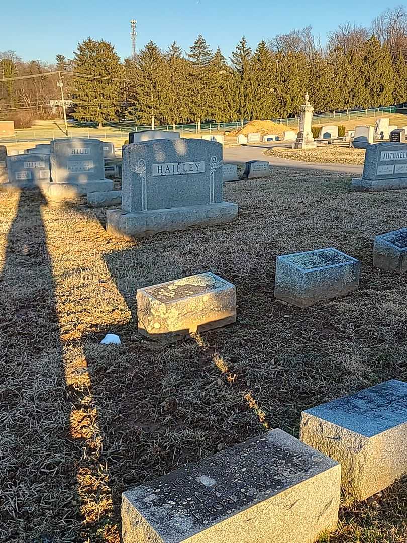 Thomas L. Haifley's grave. Photo 5