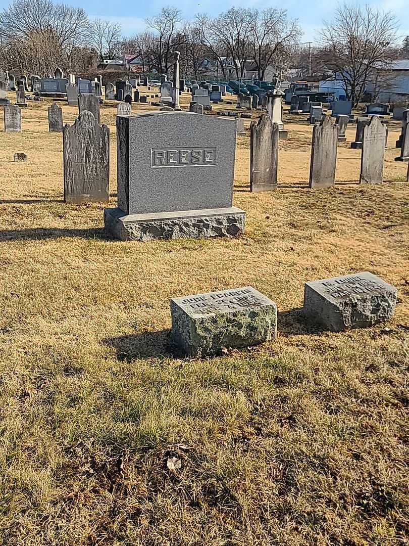 John Francis Reese's grave. Photo 2