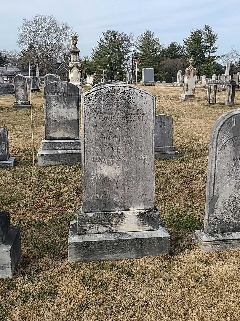 Minnie Gillette Shriver's grave. Photo 1