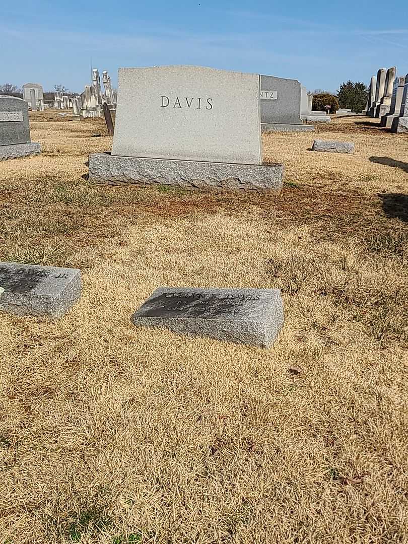 Evelyn V. Davis's grave. Photo 2