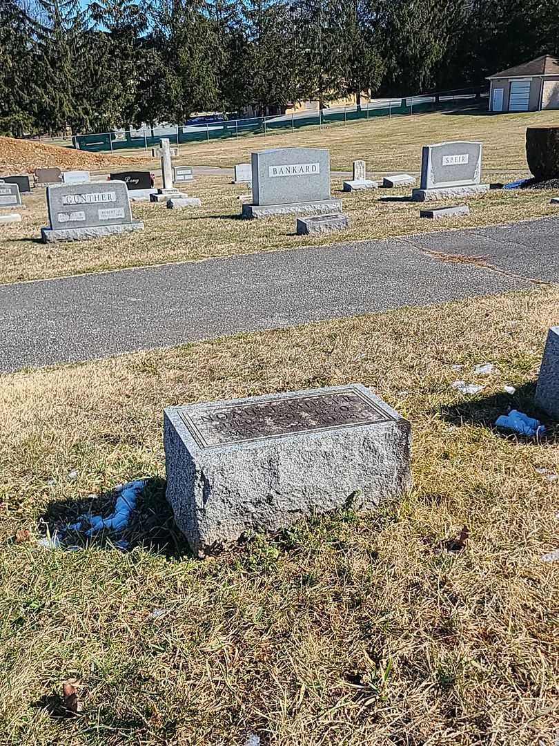 Noah J. Miller's grave. Photo 2