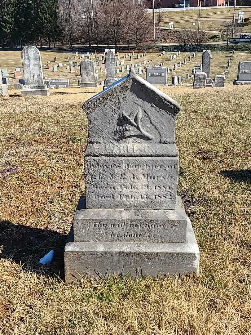 Larle G. Marsh's grave. Photo 3