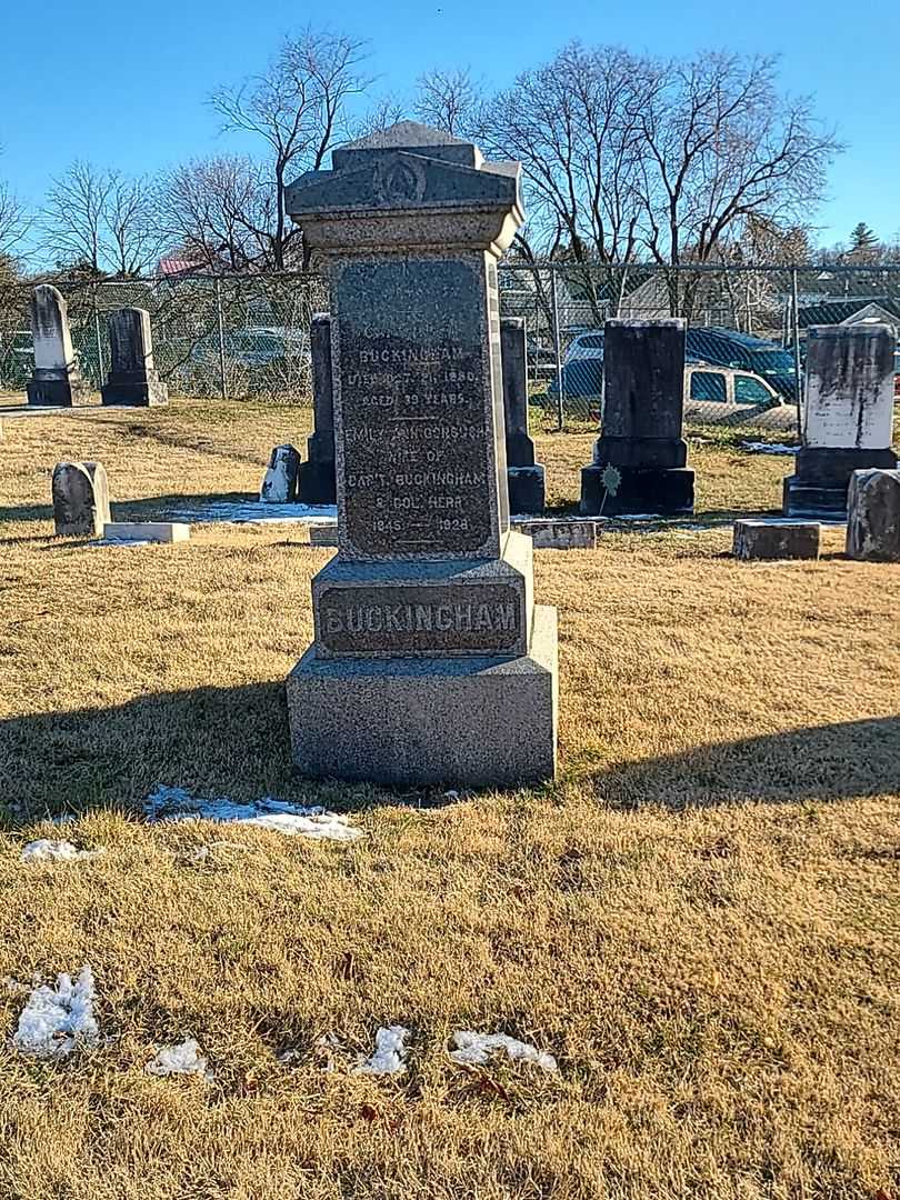 H. F. T. Buckingham's grave. Photo 2