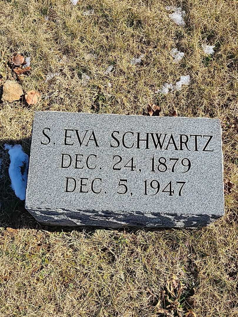 S. Eva Schwartz's grave. Photo 3