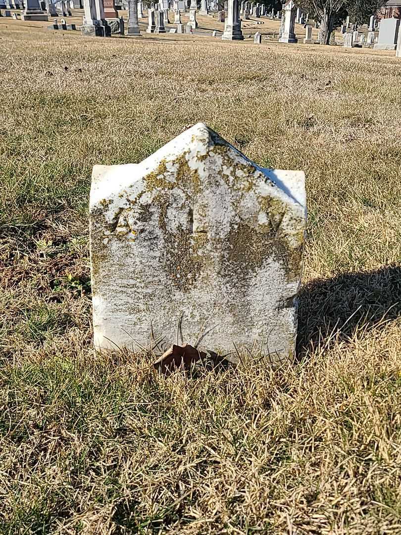 Annie Lee Vanhorn's grave. Photo 4