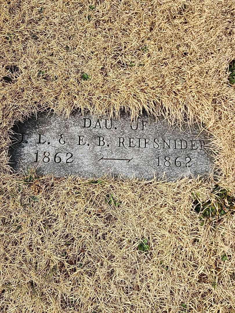 Susan Appalonia Reifsnider's grave. Photo 3