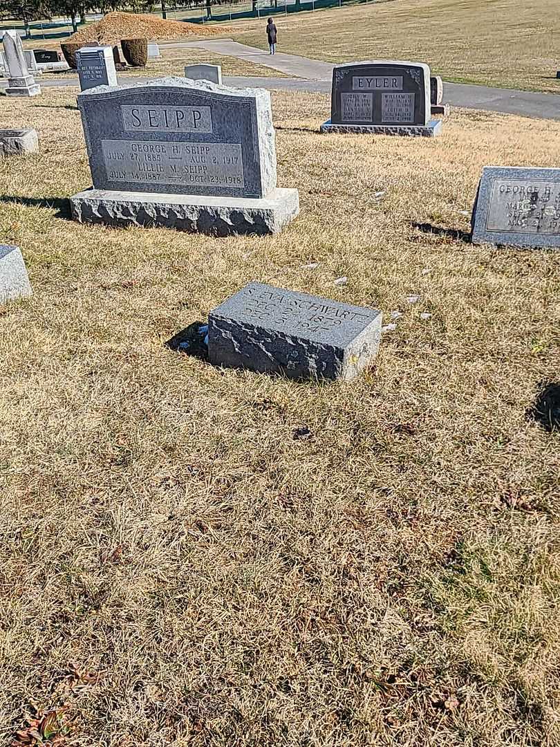 S. Eva Schwartz's grave. Photo 2