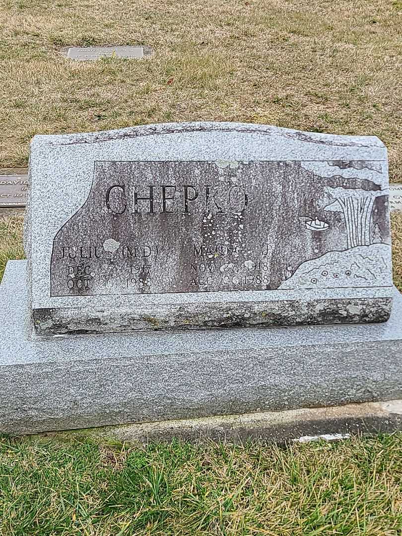 Julius Chepko M. D.'s grave. Photo 1