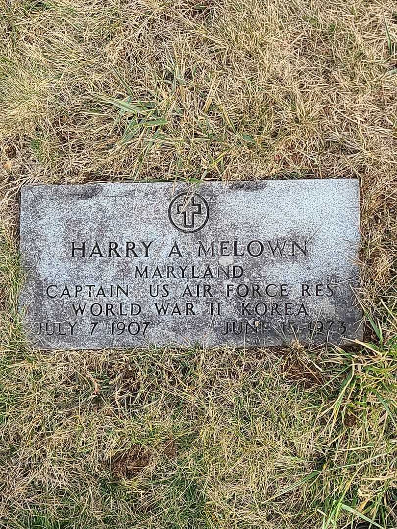 Harry A. Melown's grave. Photo 3