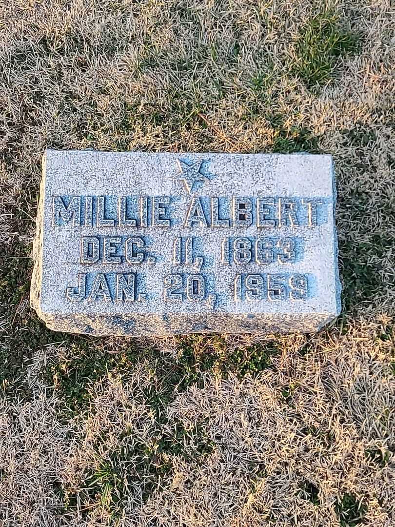 Millie Albert Little's grave. Photo 3