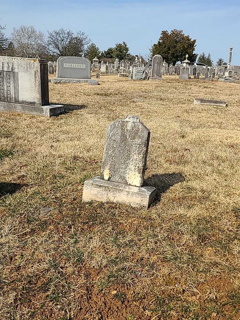 Minnie C. Morgan's grave. Photo 2