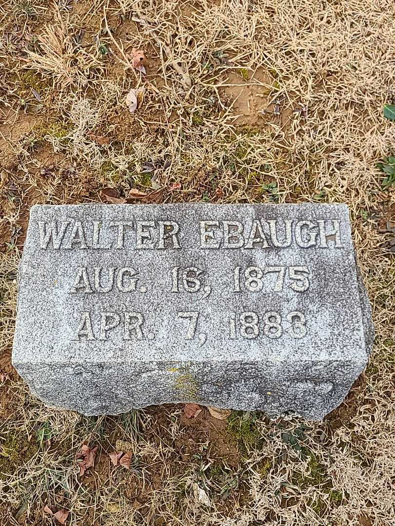 Walter Ebaugh Mitten's grave. Photo 4