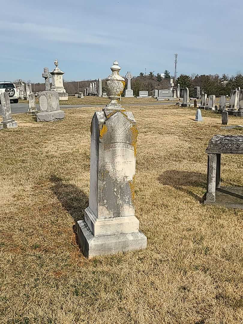 Lewis F. Byers's grave. Photo 2
