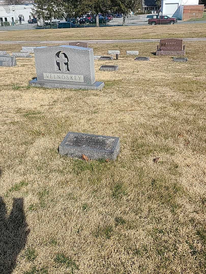 Charles J. Velnoskey's grave. Photo 2