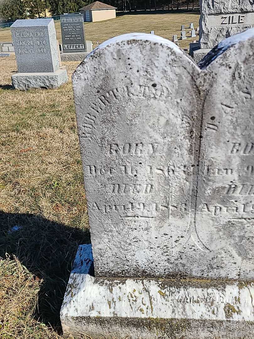 Robert G. Thomson's grave. Photo 3