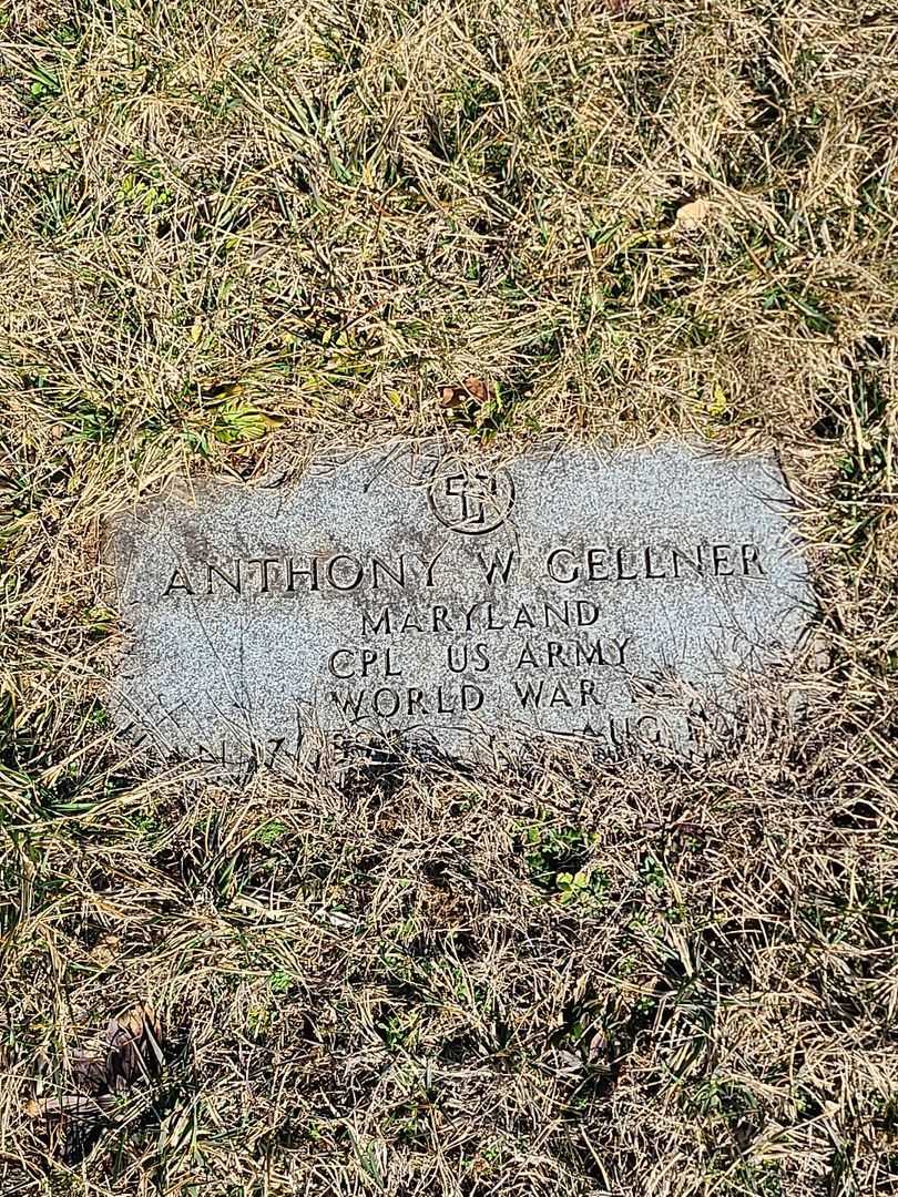 Anthony W. Gellner's grave. Photo 3
