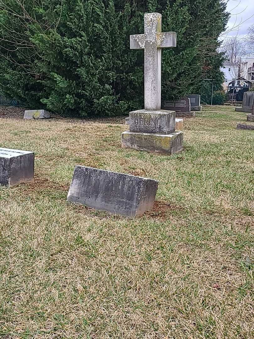 Joseph Shriver Hering's grave. Photo 2