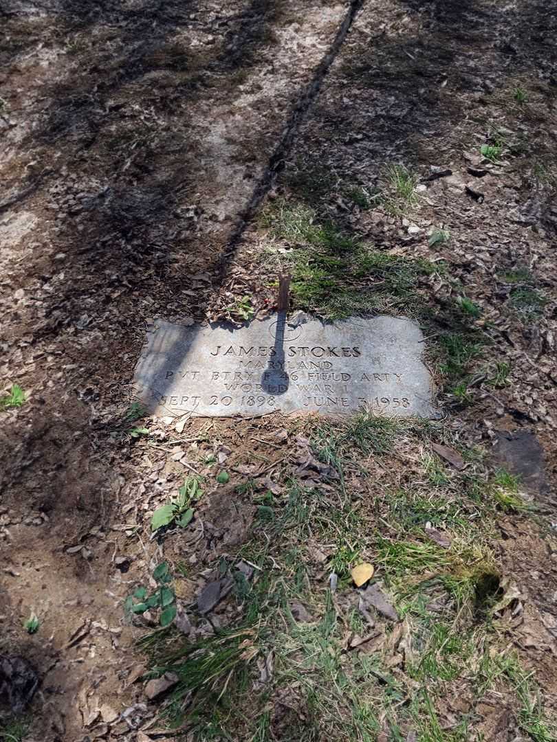 James Stokes's grave. Photo 1