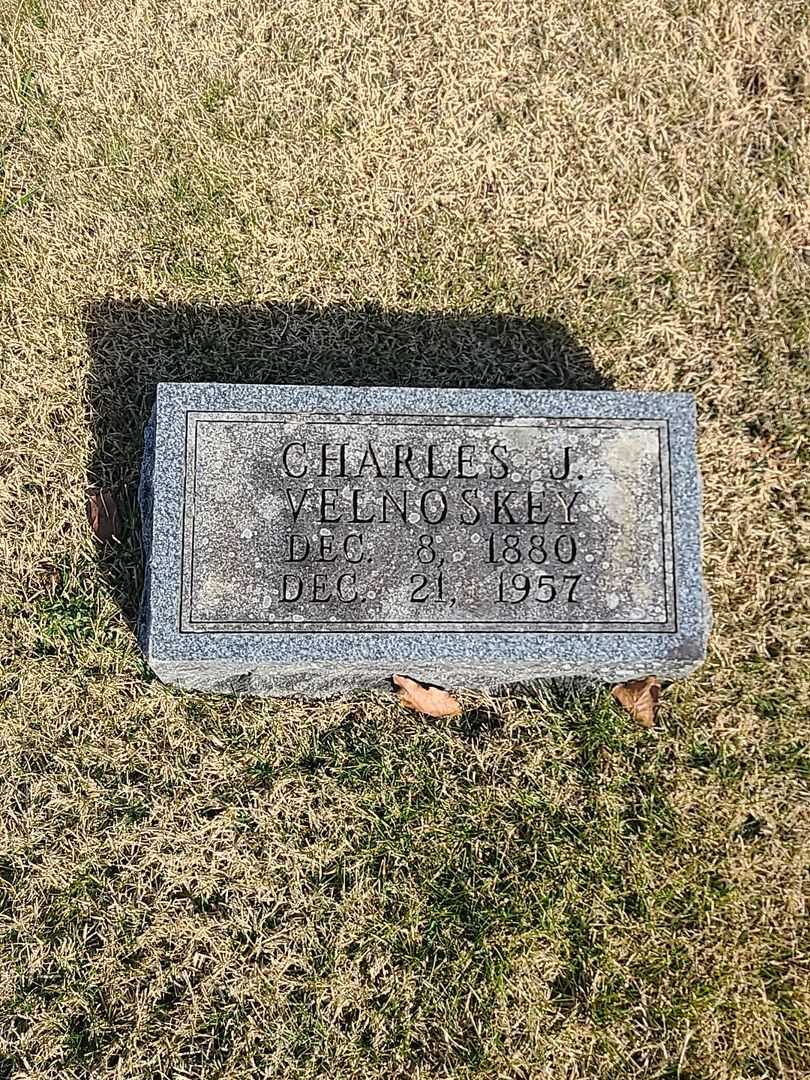 Charles J. Velnoskey's grave. Photo 3