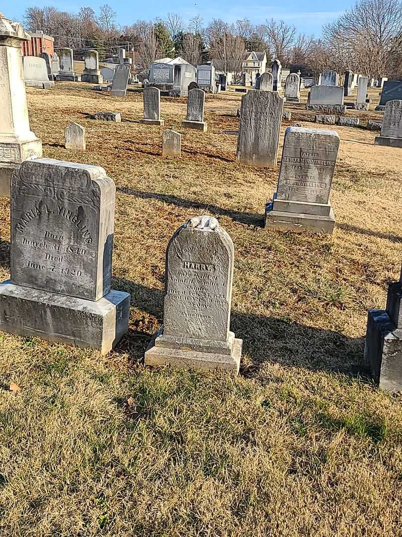 Harry Shipley's grave. Photo 2