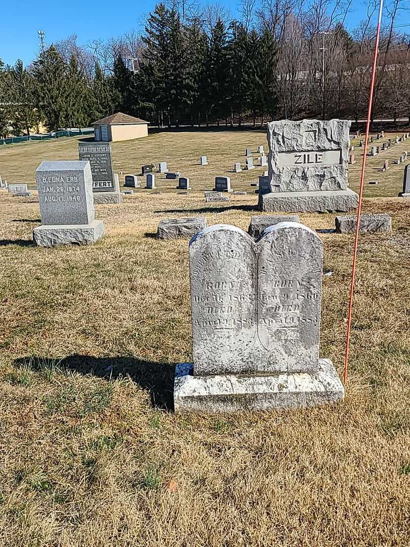 Robert G. Thomson's grave. Photo 2