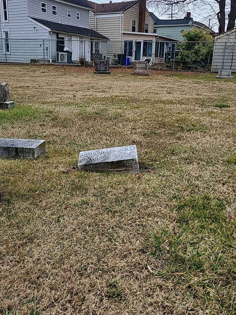 Anthony J. Pashales's grave. Photo 2