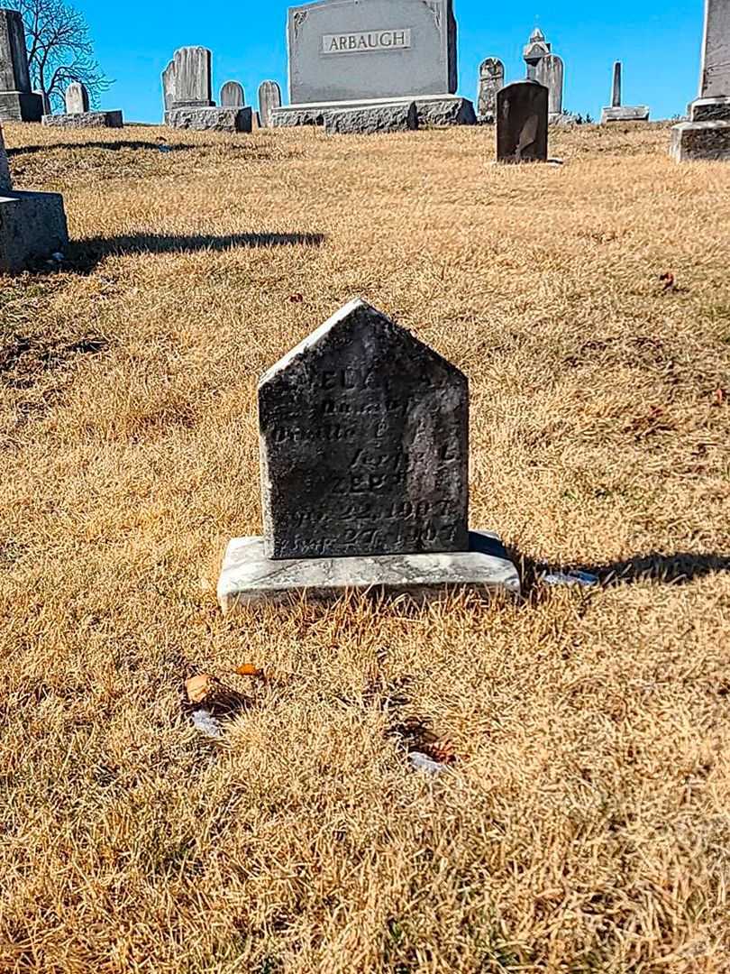 Evelyn A. Zepp's grave. Photo 2