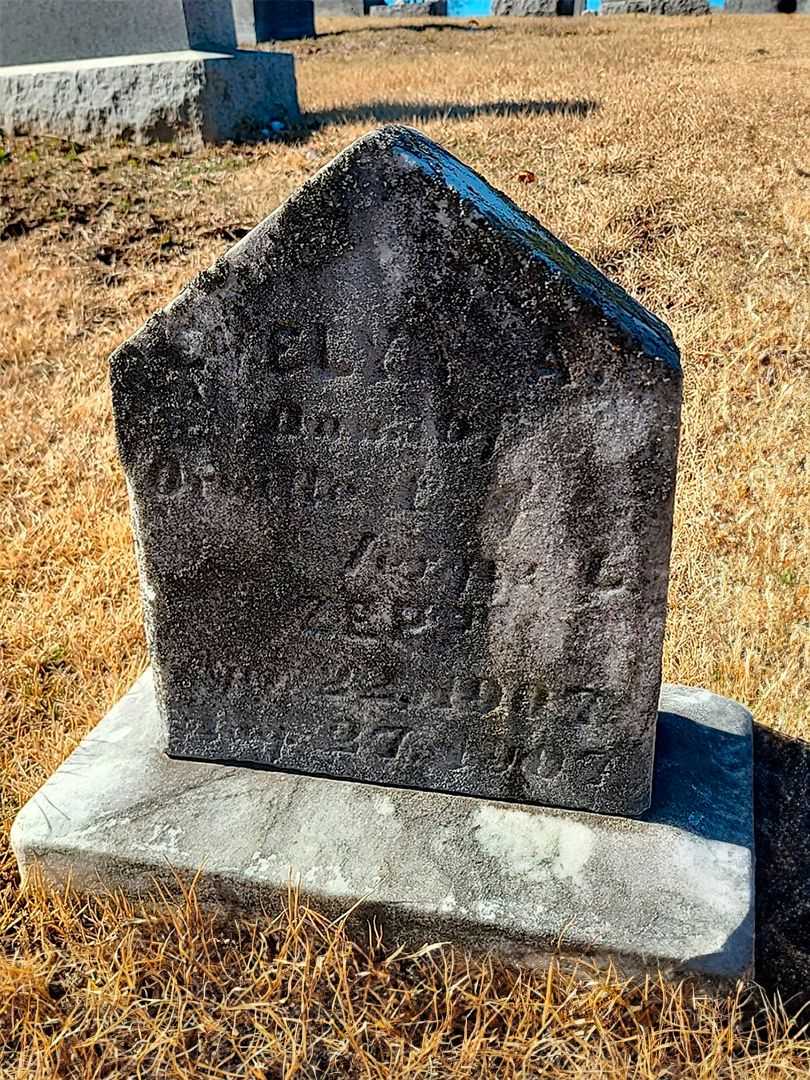 Evelyn A. Zepp's grave. Photo 3