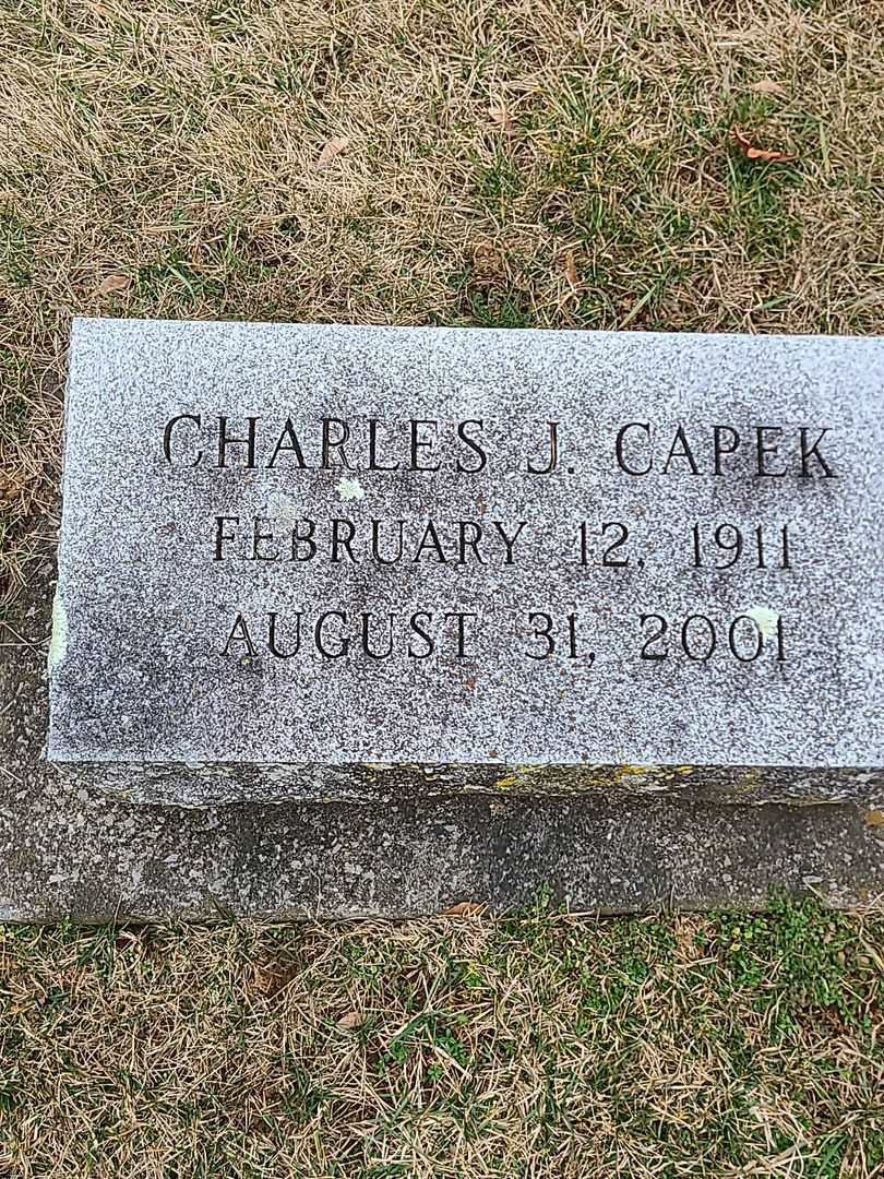 Charles J. Capek's grave. Photo 3