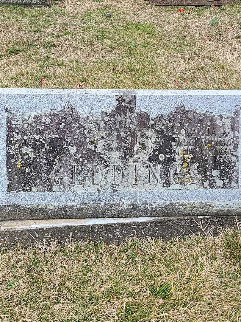 Furman E. Geddings's grave. Photo 1